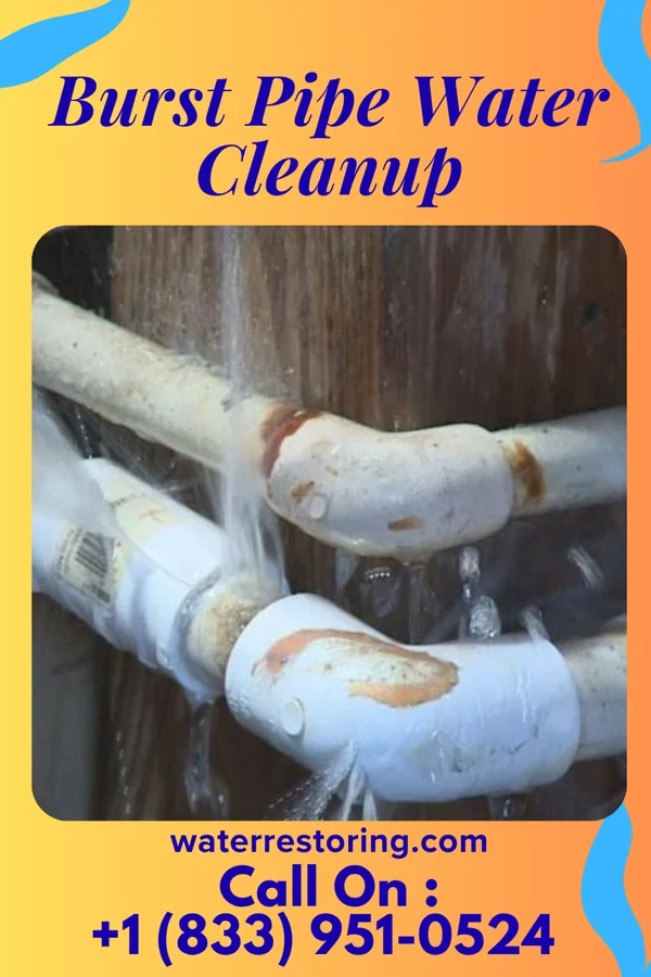 Burst Pipe Water Cleanup in North Baltimore, OH