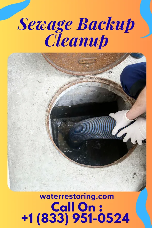Sewage Backup Cleanup in North Baltimore, OH