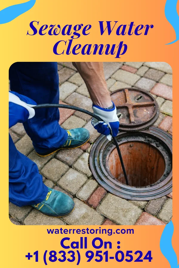 Sewage Water Cleanup in North Baltimore, OH