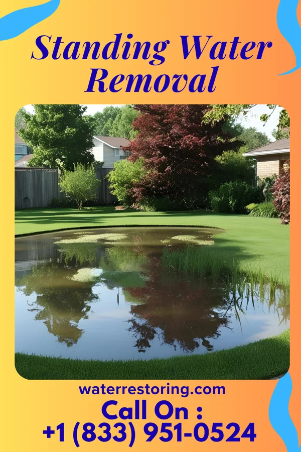 Standing Water Removal in North Baltimore, OH